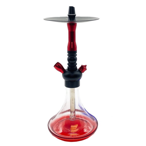 New On The Way Hookah Masterbox 12 pcs - Image 3